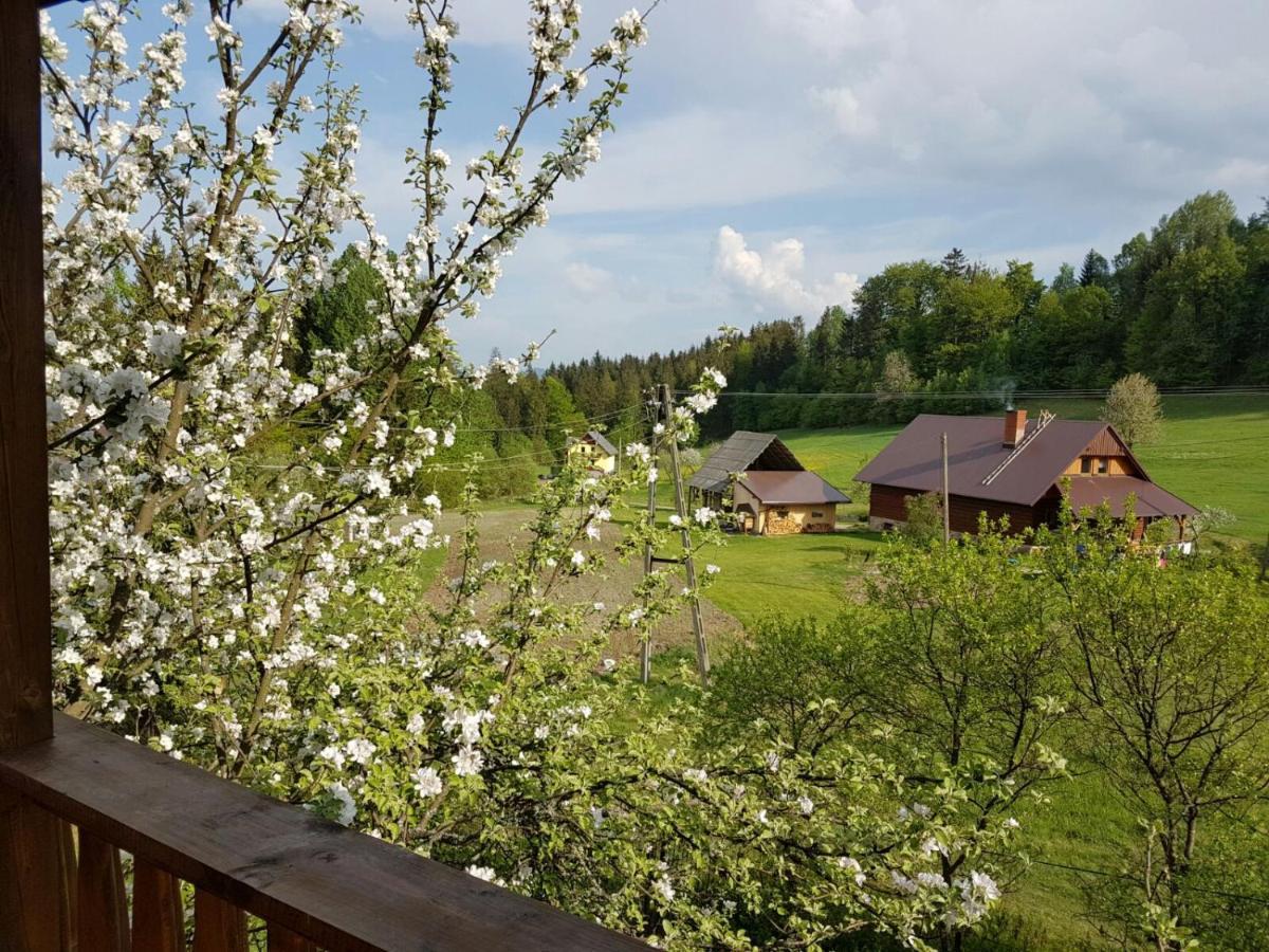 Gosciniec Tokarzonka * Istebna