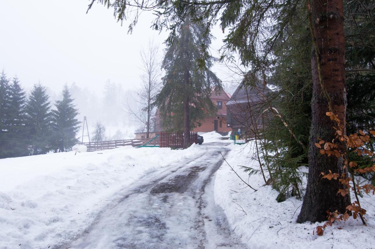 Gosciniec Tokarzonka Chalet Istebna