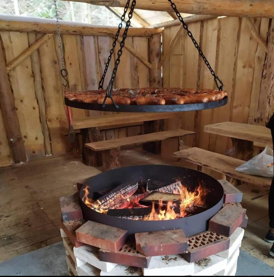 Gosciniec Tokarzonka *